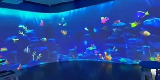 wall interactive projection